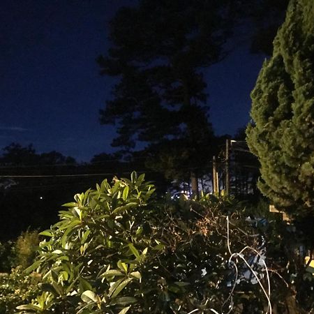 Windy House Hotel Da Lat Eksteriør billede